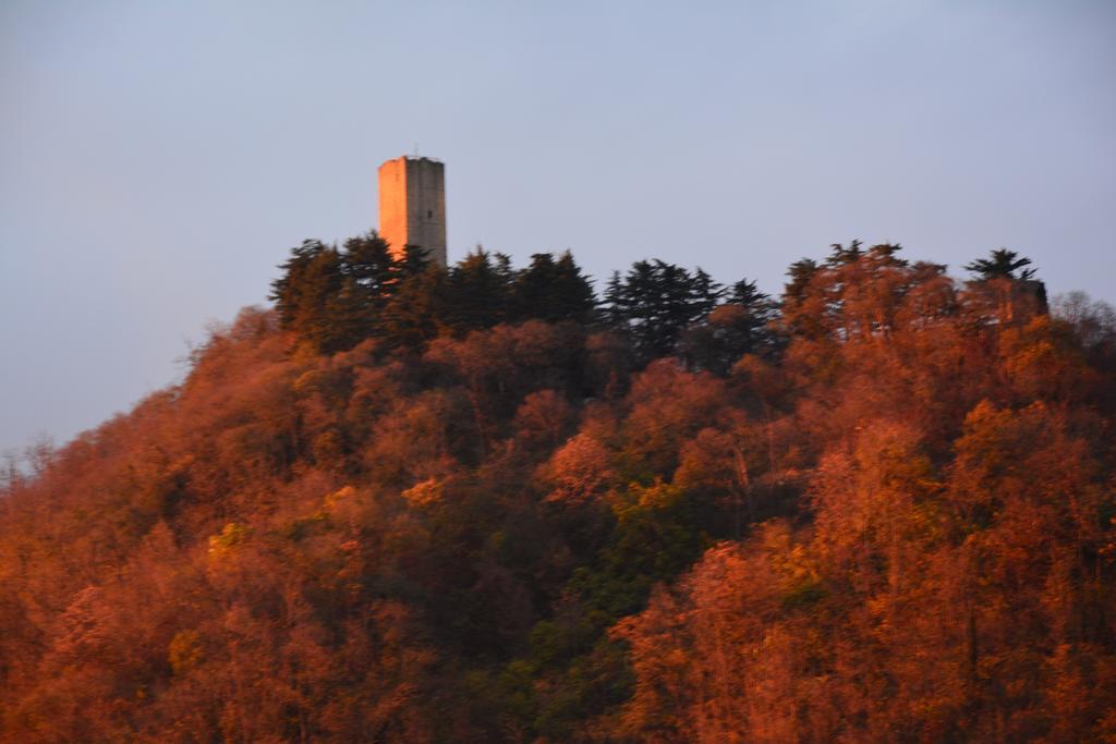 Appartement Monte Goj